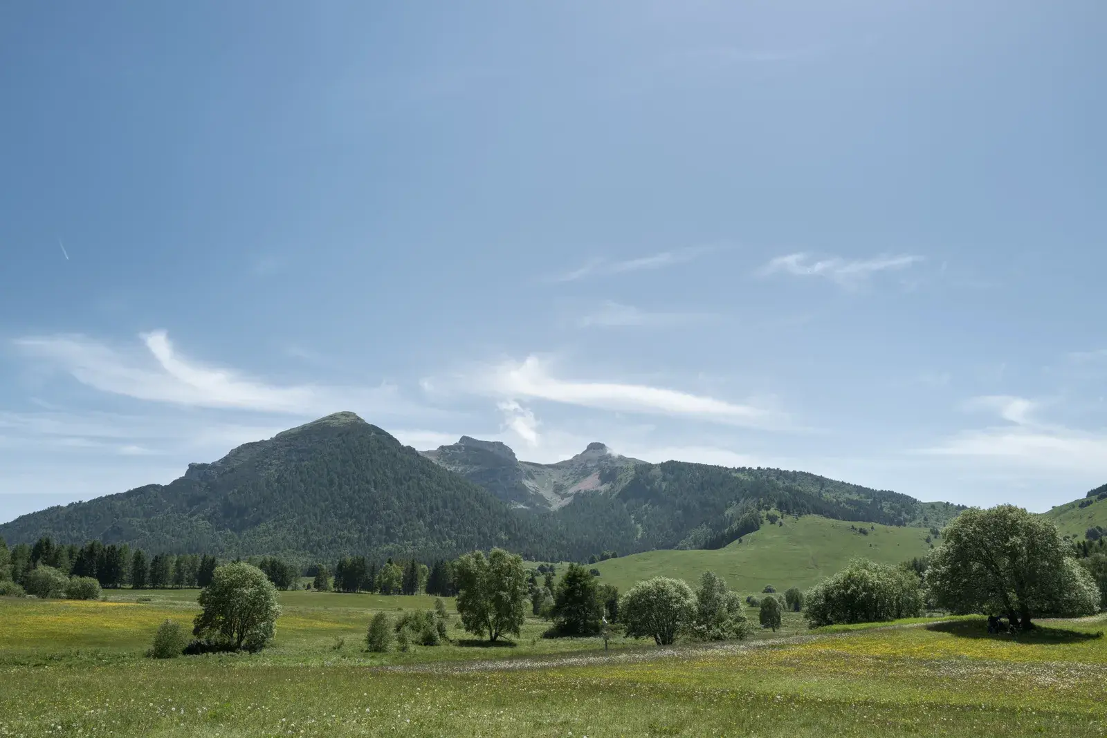 La conca delle Viote sul Monte Bondone con le Tre Cime sullo sfondo