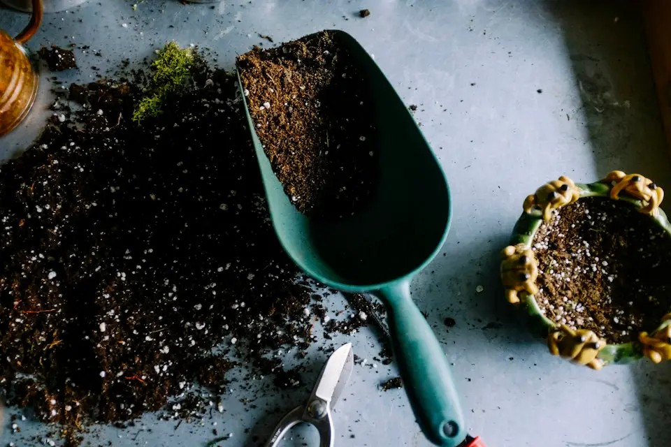 Attrezzi e piante per il giardinaggio