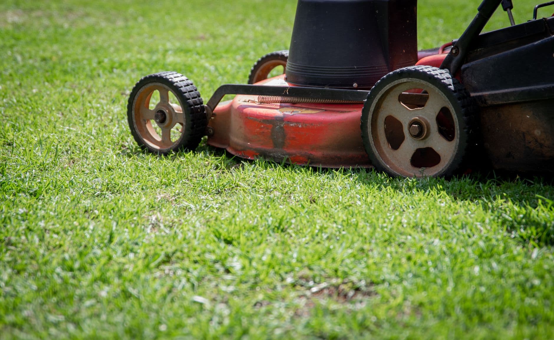Tosaerba Ryobi RLM18X40H - View 3