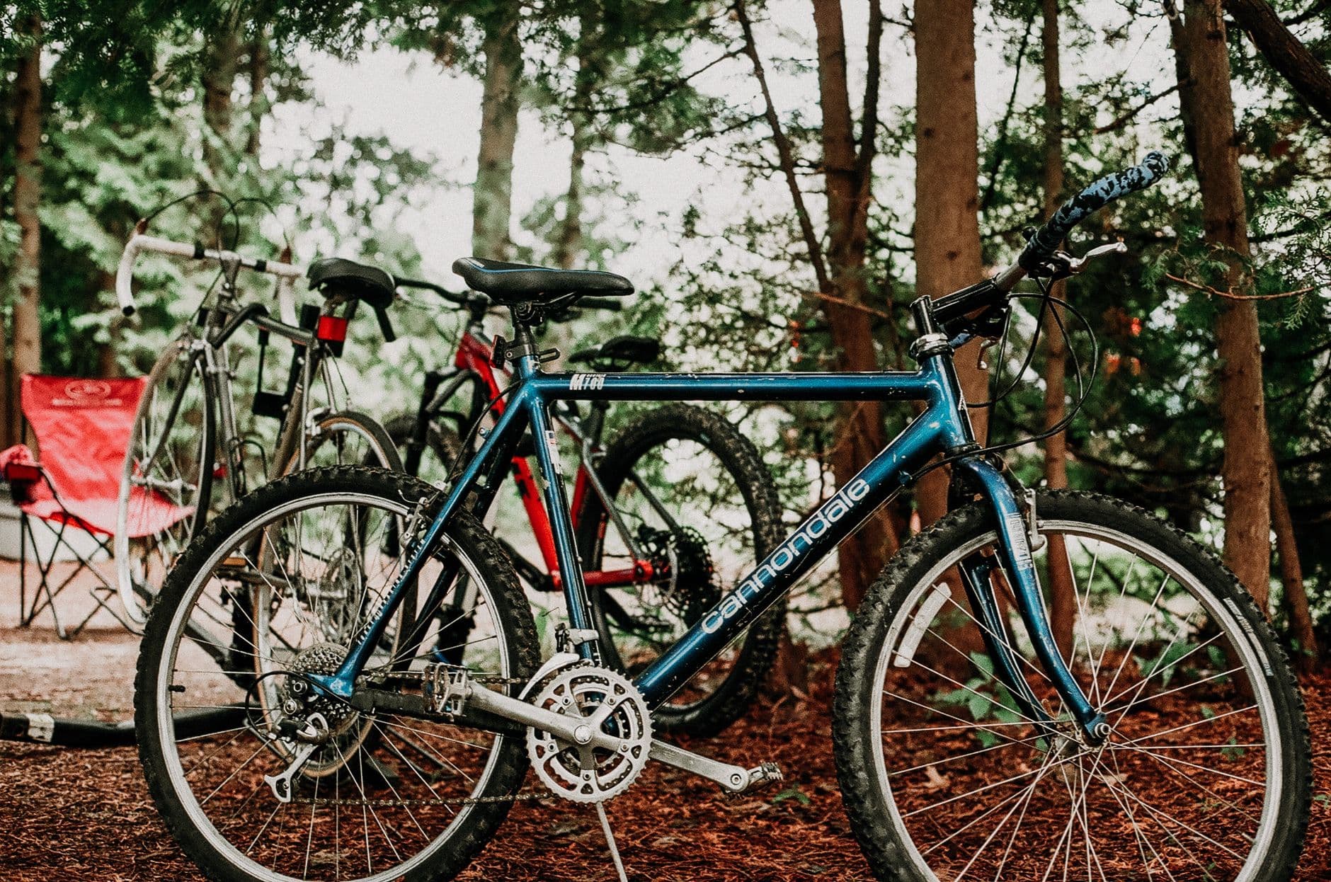 Mountain Bike 29" Full Sospensione - View 2