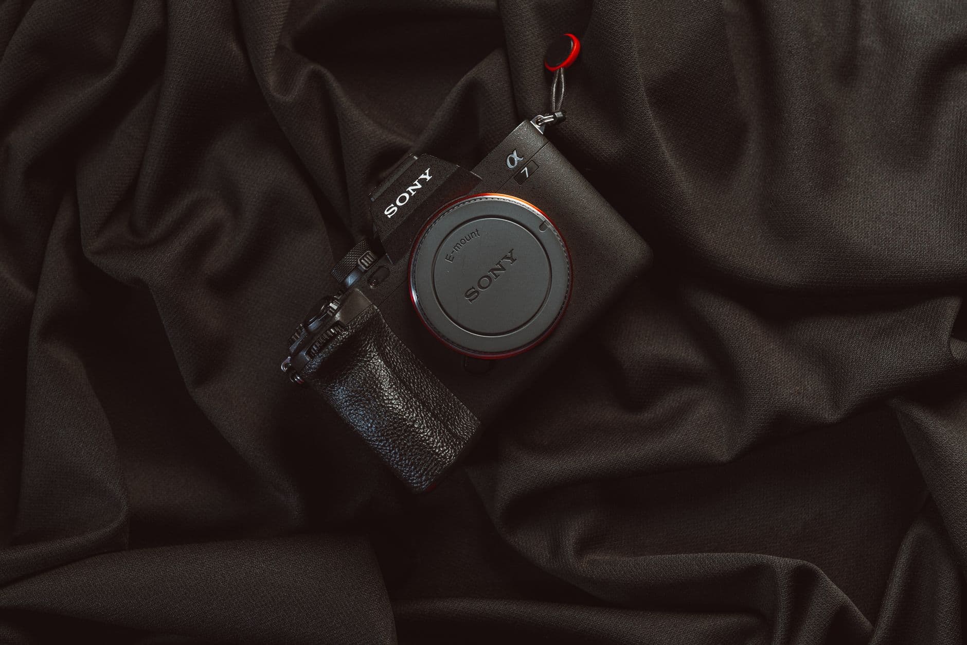 Canon EOS R5 + 24-70mm - View 2