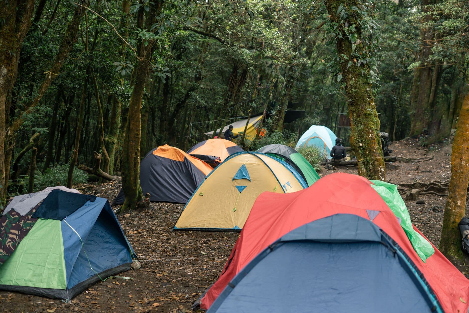 Tenda 4 Posti Ultralight MSR - View 2