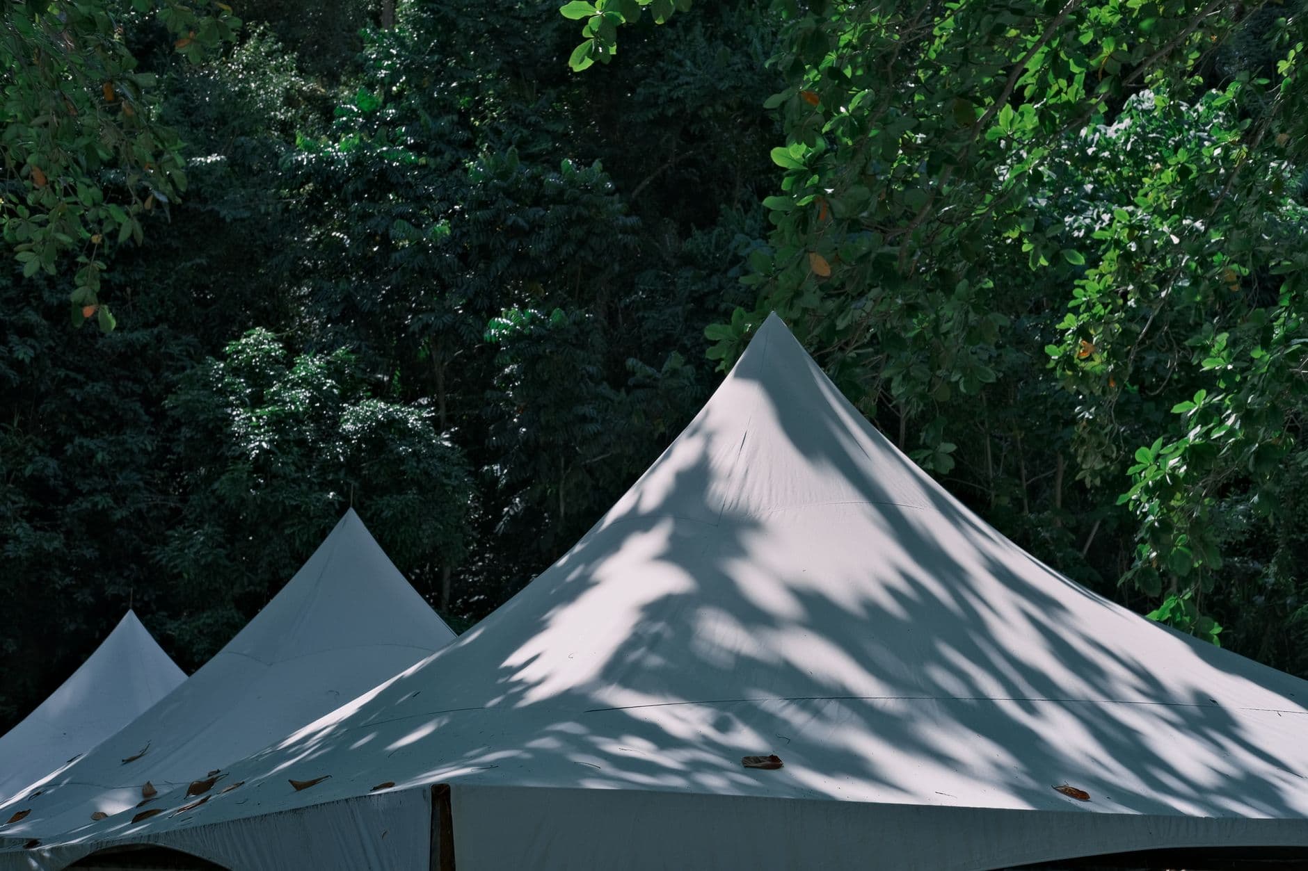 Tenda 4 Posti Ultralight MSR - View 3