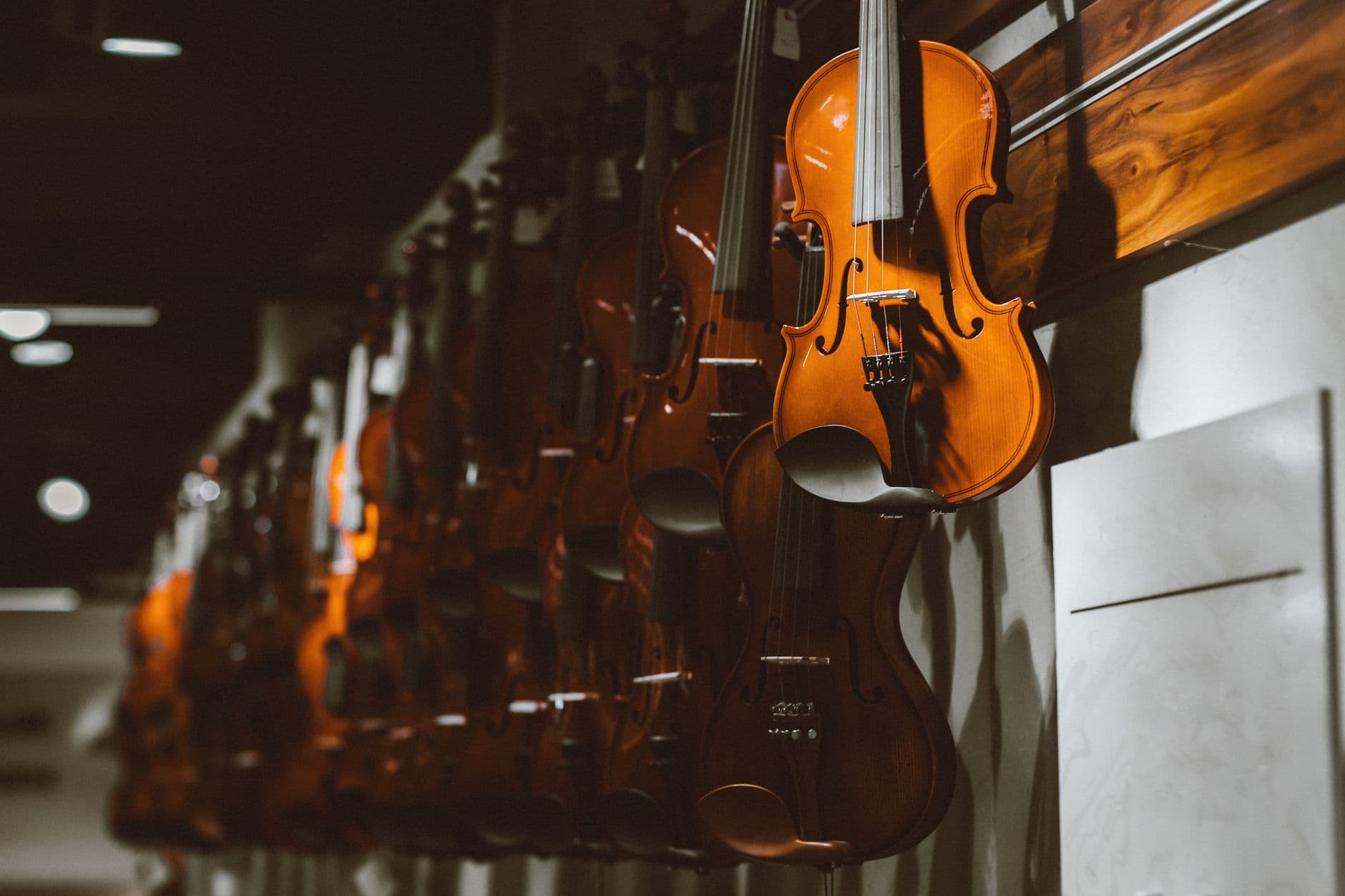 Violino 4/4 Stentor Student II - View 2