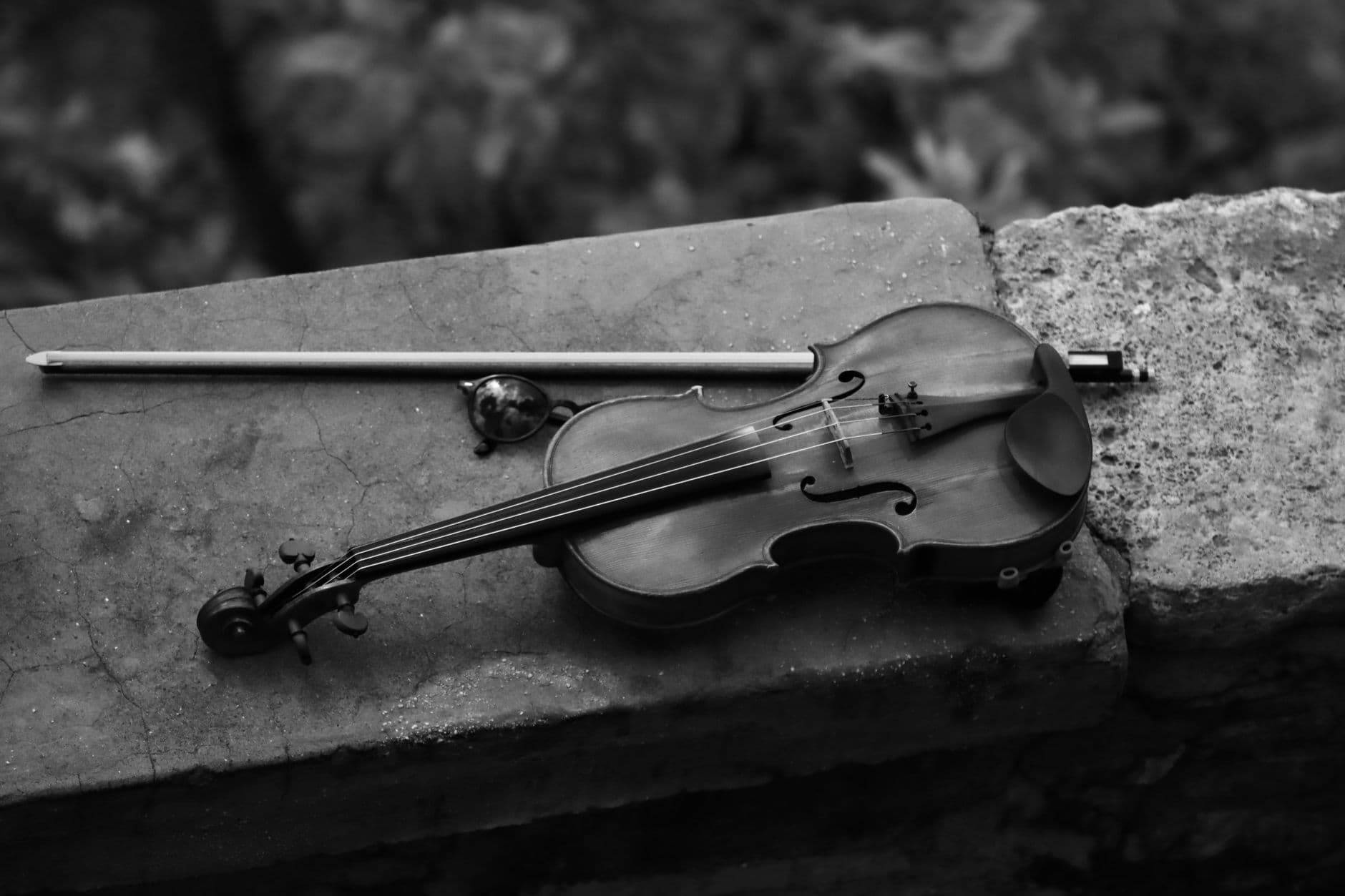 Violino 4/4 Stentor Student II - View 3