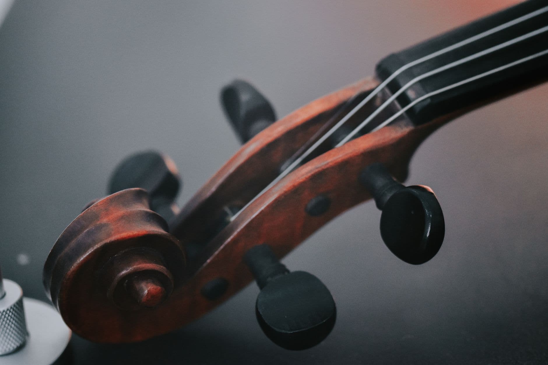 Violino 4/4 Stentor Student II - View 4