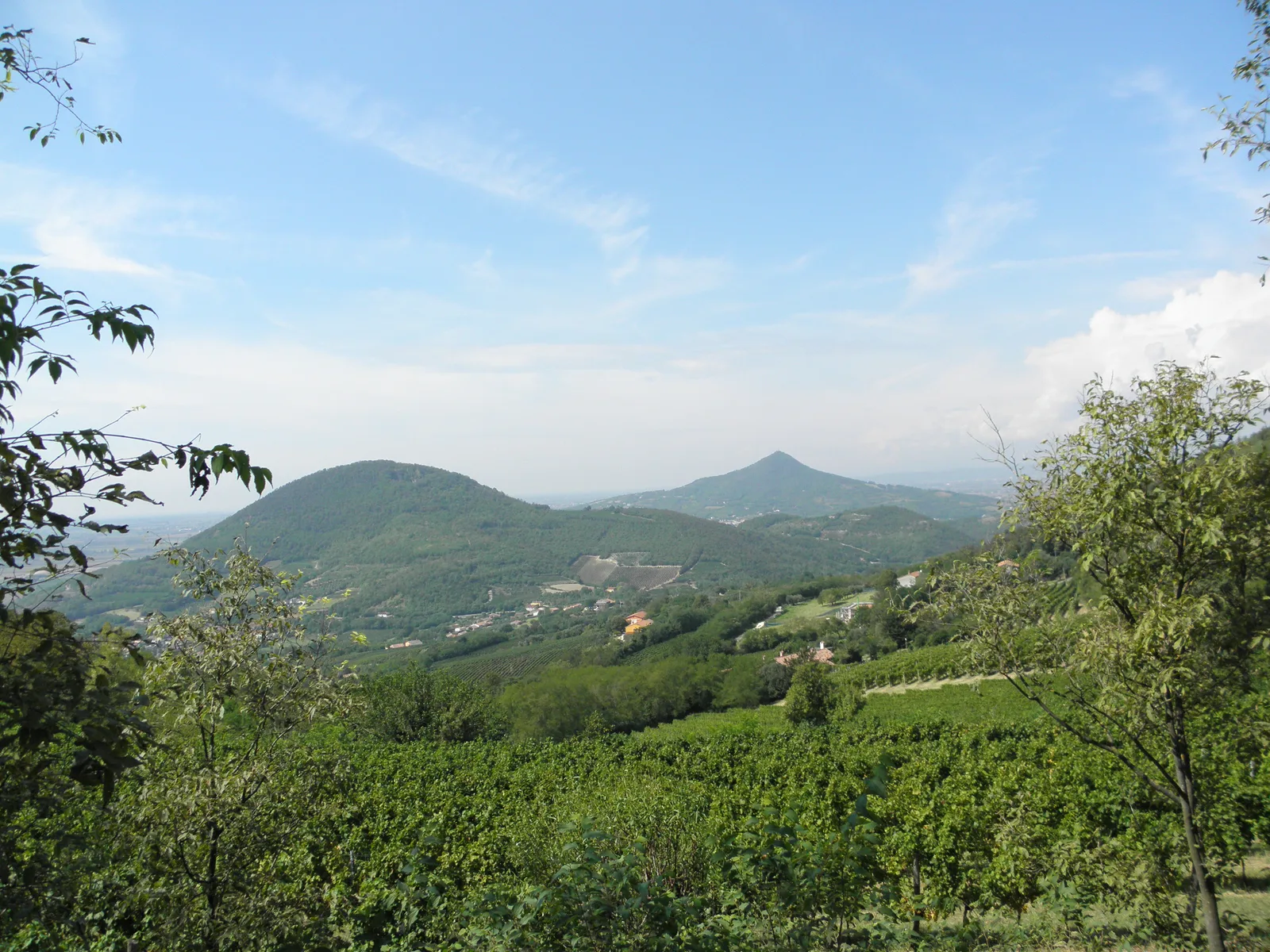 Panorama dei Colli Euganei dal Monte Gemola