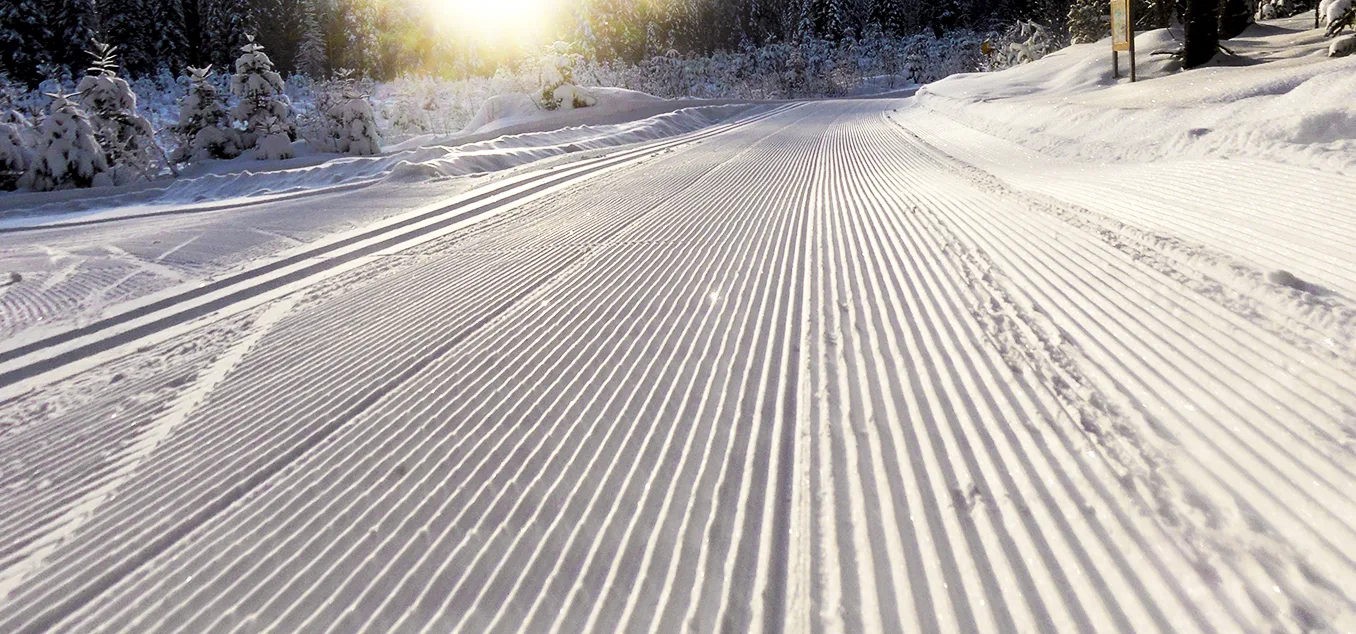 Una pista da sci di fondo per la tecnica skating fra i boschi