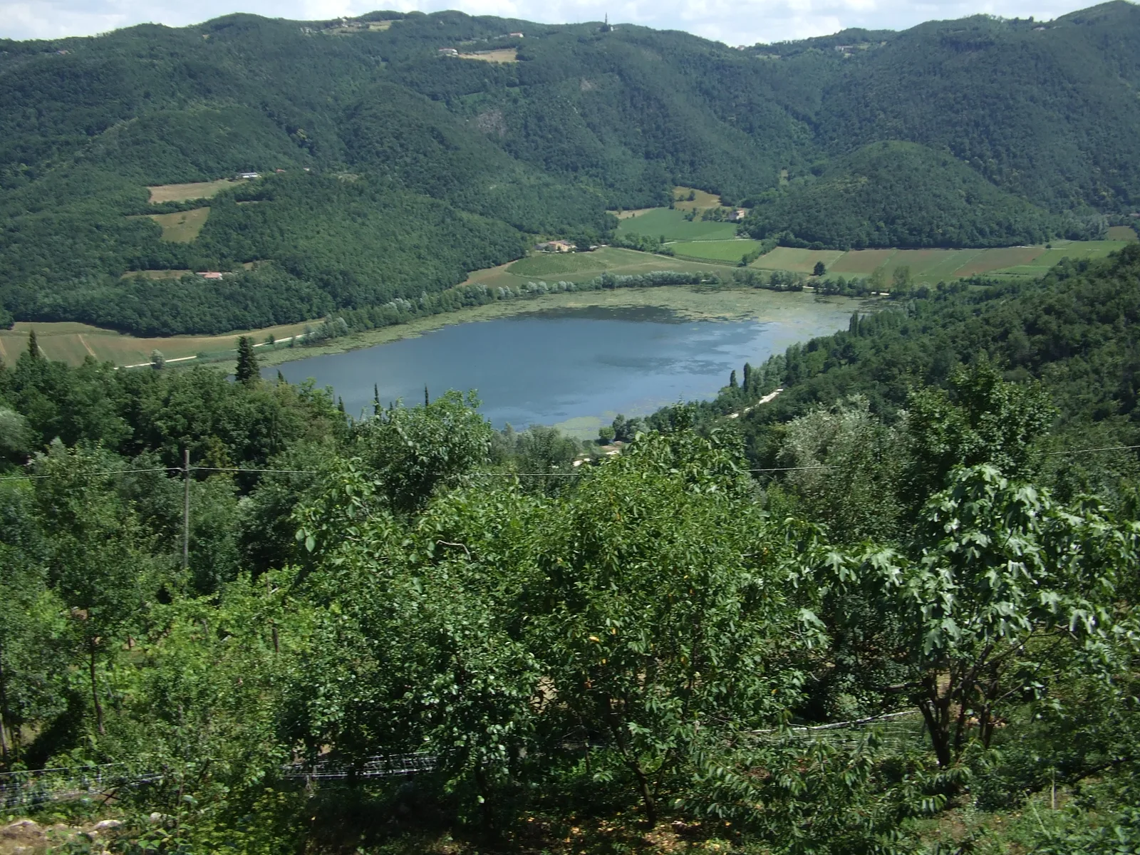 Il Lago di Fimon fra i Colli Berici, con i canneti lungo la riva