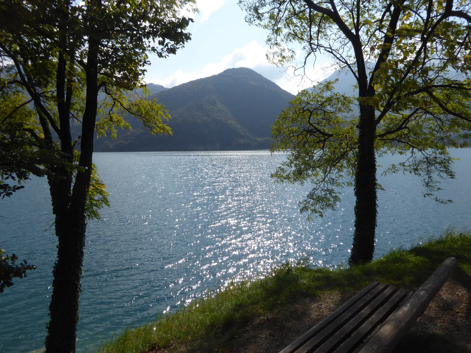Il Lago di Ledro visto dalla riva fra gli alberi, con i versanti boscosi sullo sfondo