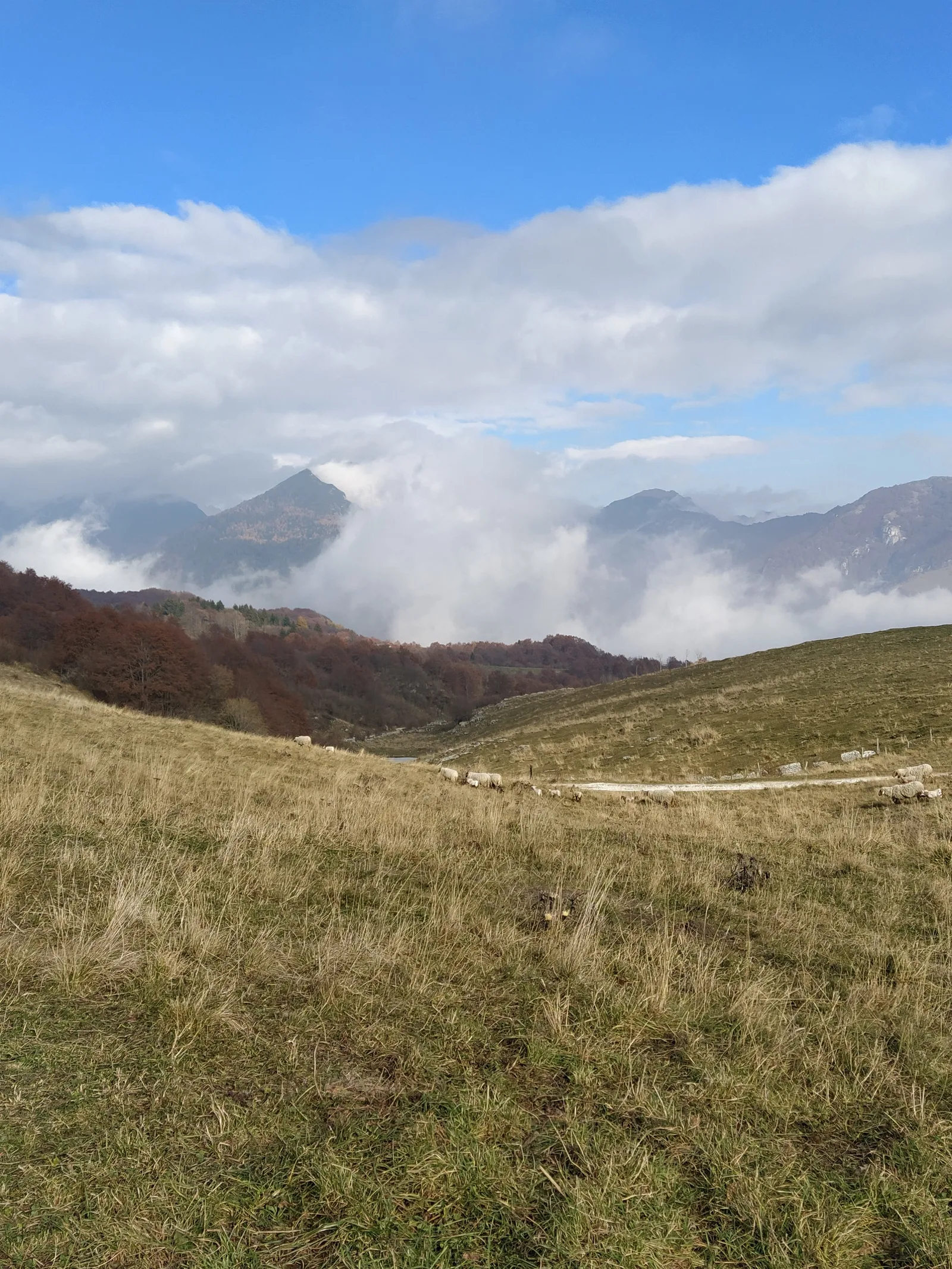 Panorama dell’altopiano della Lessinia