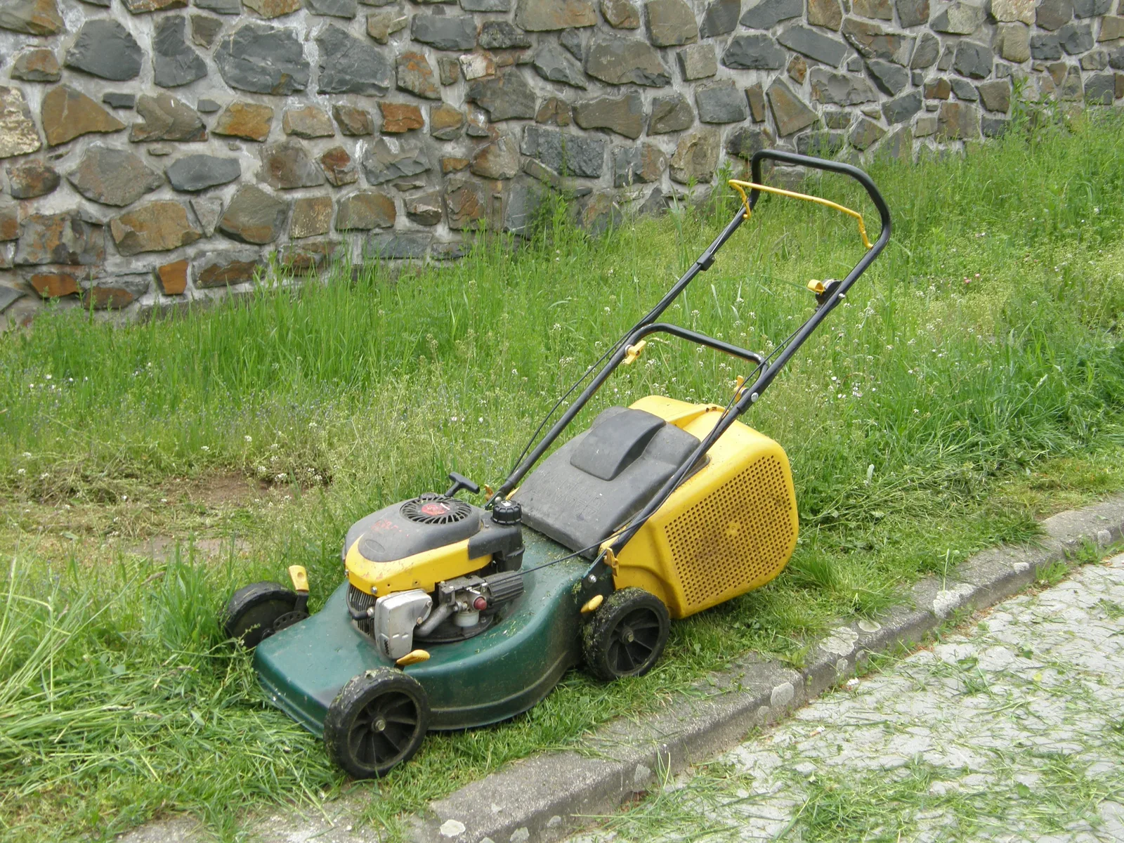 Rasaerba con manubrio e raccoglierba accanto a un prato