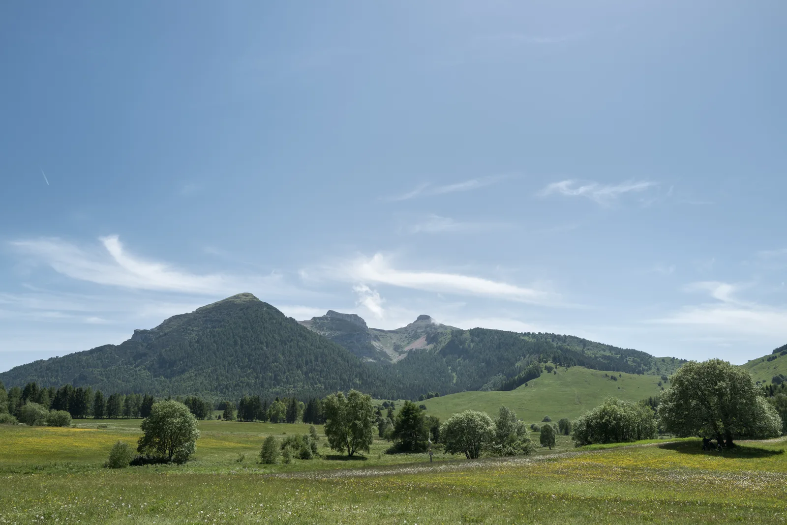 La conca delle Viote sul Monte Bondone con le Tre Cime sullo sfondo