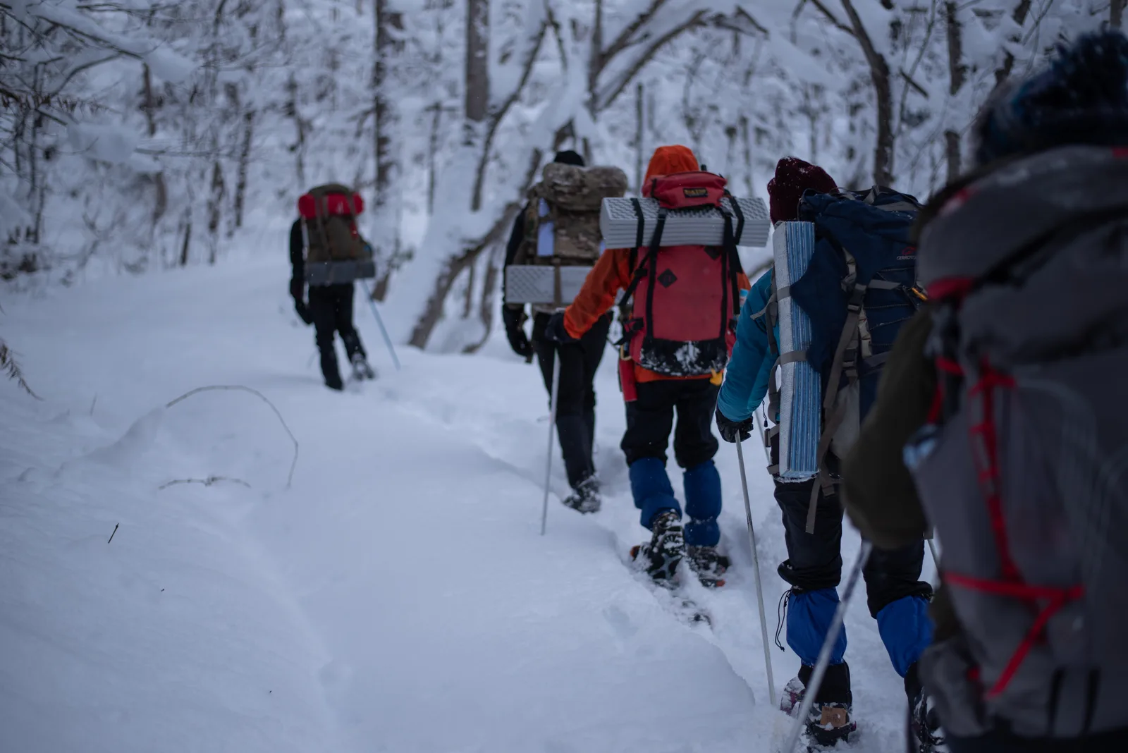 Una persona cammina con le ciaspole nella neve alta di un bosco