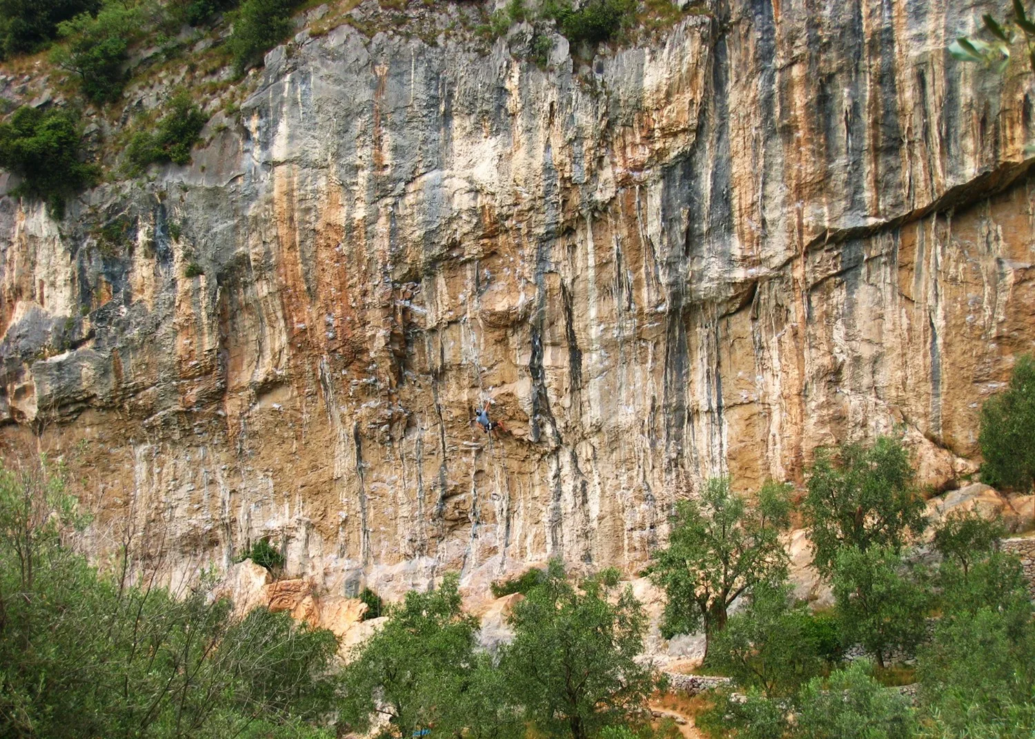 Un arrampicatore su una parete di calcare in falesia